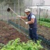 Community farm at Discovery Bay 